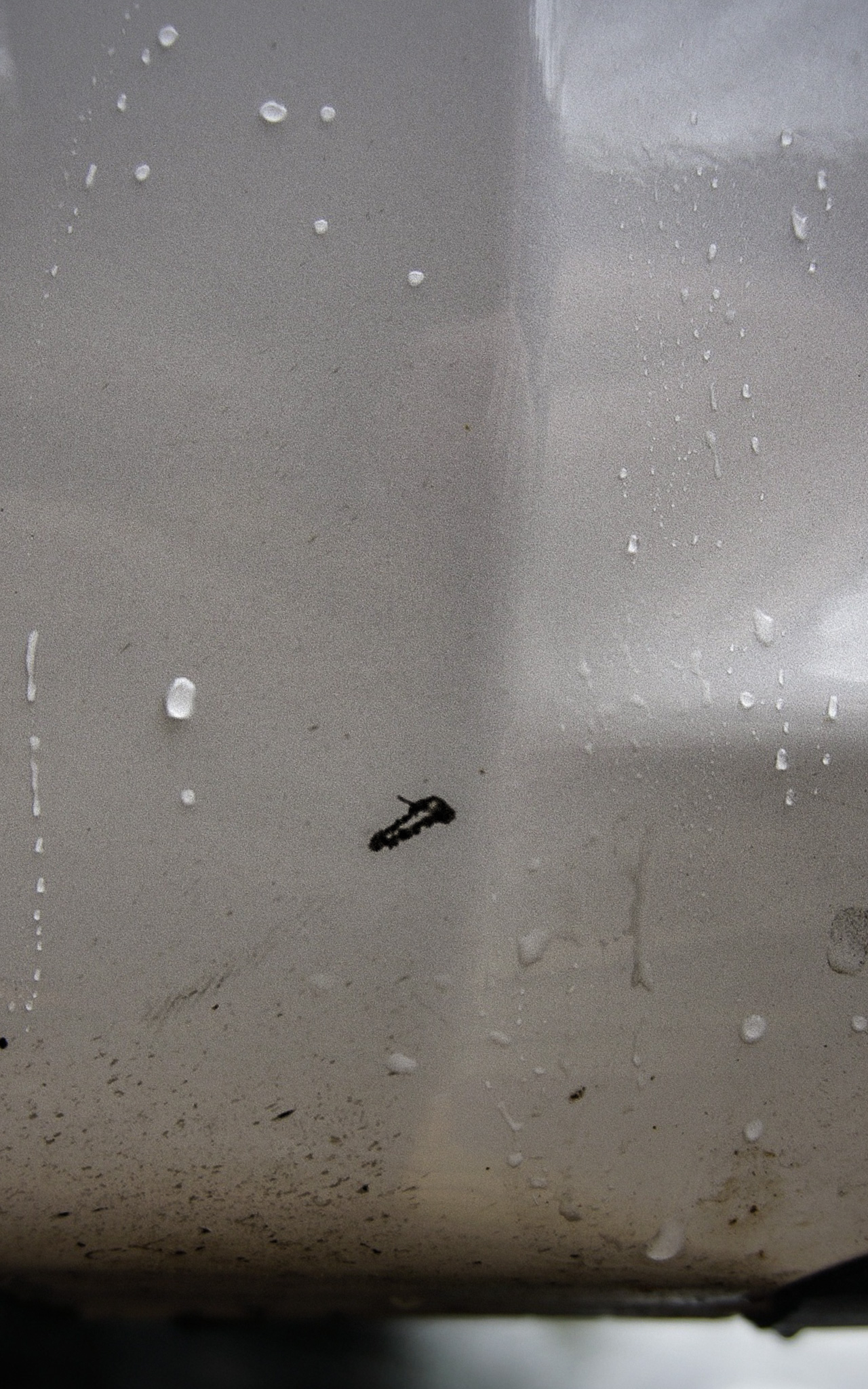 Before: dirty exterior paint